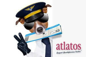 online check-in