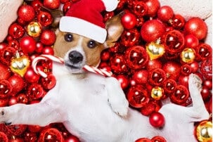weihnachten