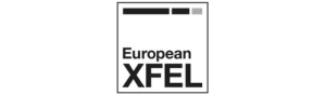 Logo European XFEL